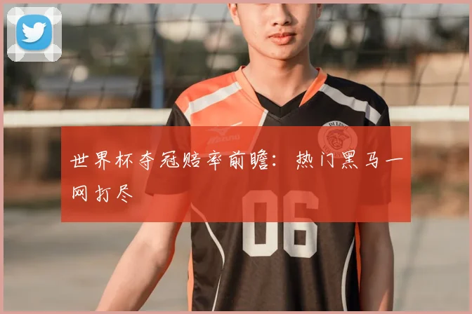 世界杯夺冠赔率前瞻：热门黑马一网打尽
